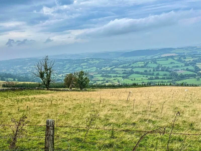 Lampeter